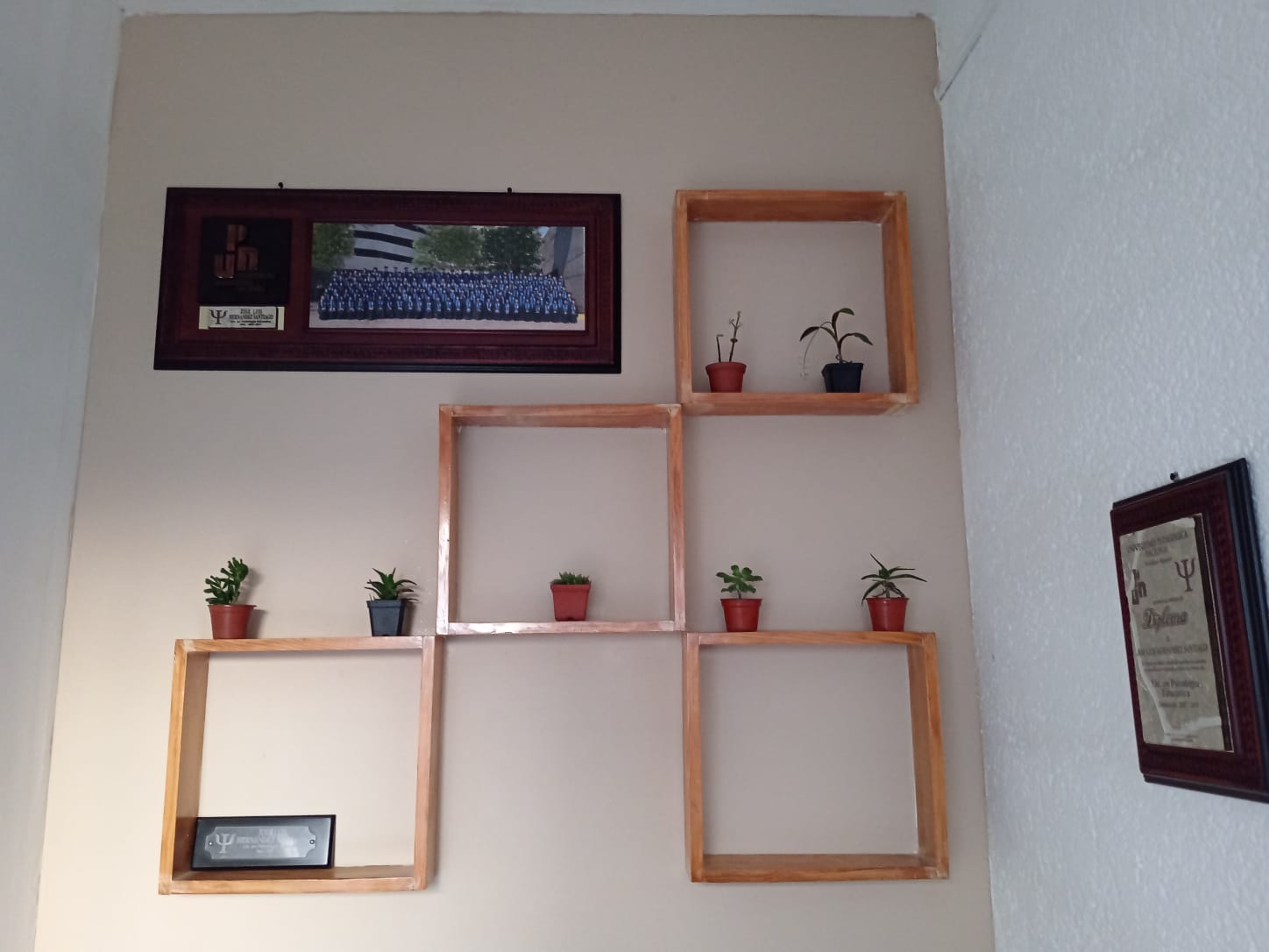 Interior del consultorio con decoración de madera y plantas